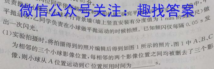 2024年湖南省普通高中学业水平合格性考试仿真试卷(专家版二)物理