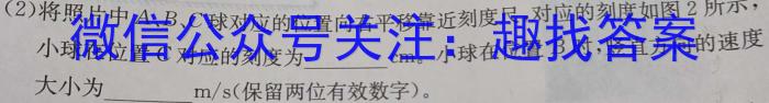 ［宝鸡三模］陕西省2024年宝鸡市高考模拟检测（三）物理`