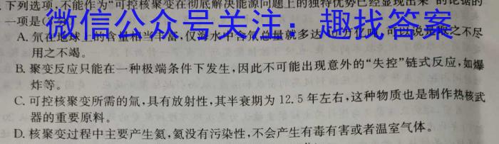 安徽省安庆市石化一中2024届初三毕业模拟考试（二模）语文