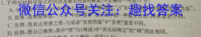 甘肃省天水市麦积区某校2024-2025学年第一学期九年级暑期测试卷语文