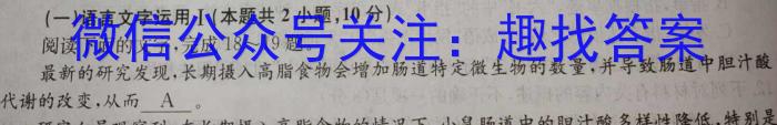 河南省2025学年鹤壁市高中高二上学期开学摸底考语文