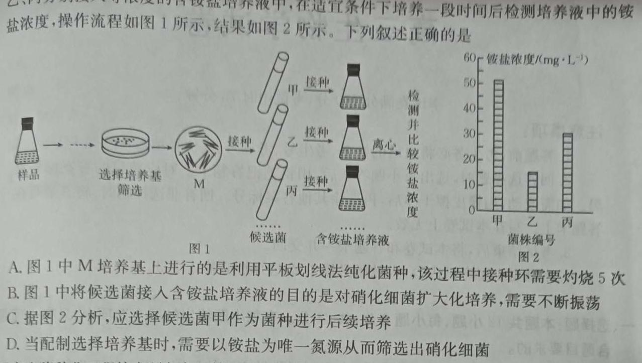 太和县2024年初中学业水平考试模拟测试卷(TH)(二)2生物