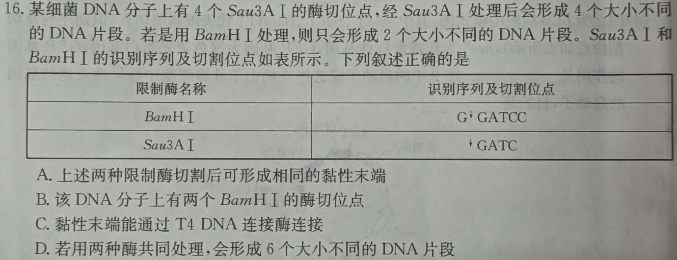 2024年河南省普通高中招生考试模拟试卷(信息卷一)生物