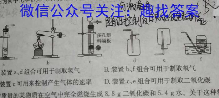 甘肃省定西市2024年毕业会考模拟监测卷（一）化学