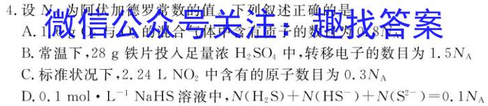 河北省邢台市2024-2025学年第一学期高二年级9月开学考试化学