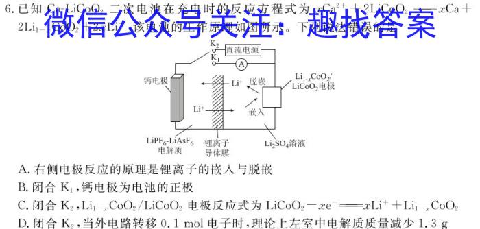 q安徽中考2024年九年级监测试卷(5.24)化学