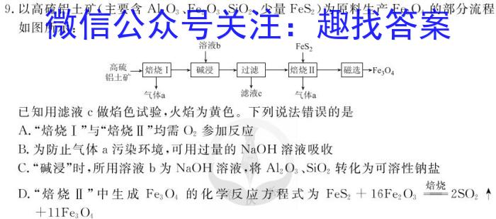 2024年安徽省初中学业水平考试名校联考(一)化学