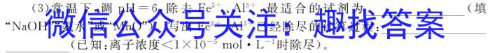 q陕西省2024届九年级学业水平质量监测（3月）化学