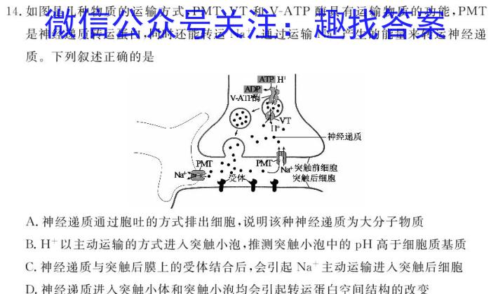 开封五校2023-2024学年高二下学期期中联考(242642D)生物学试题答案