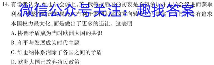 安徽省2023-2024学年度第二学期九年级阶段模考历史试卷答案