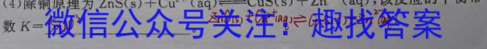 3晋文源 2024年山西中考模拟百校联考试卷(一)化学试题