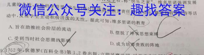 2024年湖南省普通高中学业水平合格性考试高二仿真试卷(专家版二)历史试卷答案