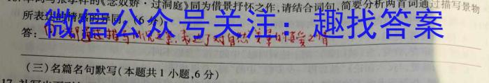 [湖北四调]2024年第九届湖北省高三(4月)调研模拟考试(2024.4)语文