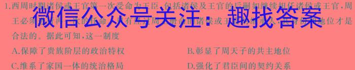 2024年河南省九年级第七届名校联盟考试历史试卷答案