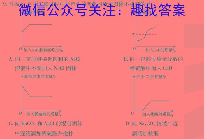 q吉林省2024年名校调研系列卷·九年级第一次模拟测试（四）化学