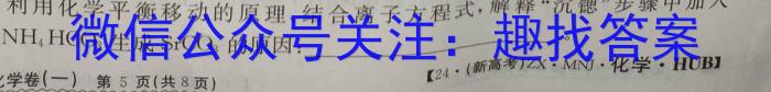 【精品】河北省2023-2024学年第二学期八年级阶段性学业检测二化学