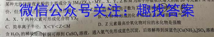 q2024年陕西省初中学业水平考试全真模拟试题A化学