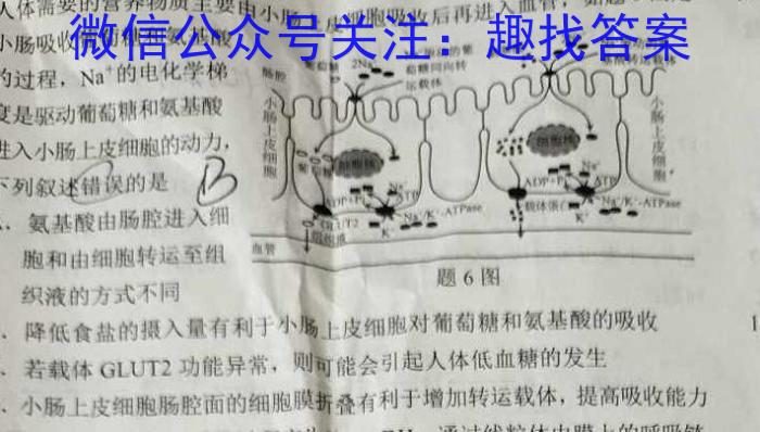 [宝鸡二模]2024年宝鸡市高考模拟检测(二)生物学试题答案