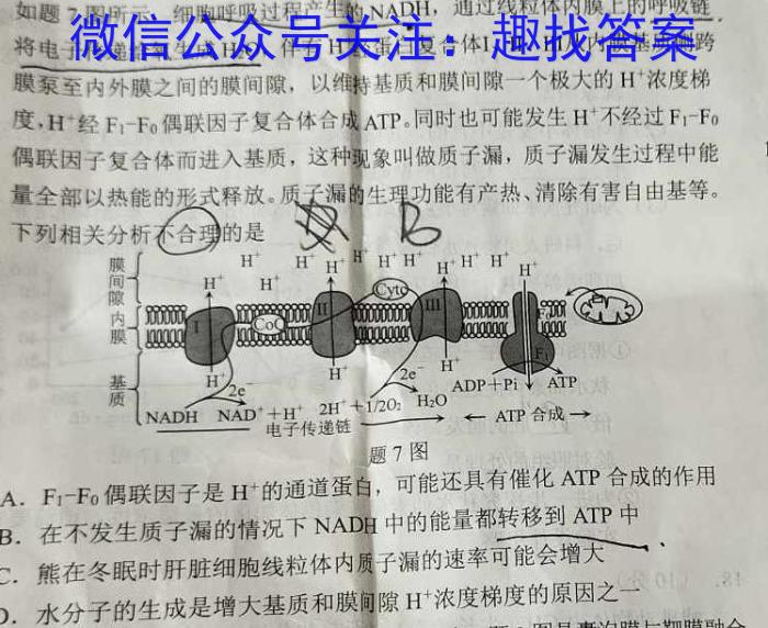 2024届山东省高考模拟训练调研试题(二)生物学试题答案