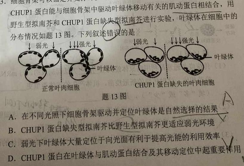 启光教育2024年河北省初中毕业生升学文化课模拟考试(三)生物