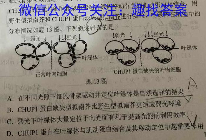 重庆市巴蜀中学2024届高考适应性月考(八)8(黑黑白黑黑白黑)生物学试题答案