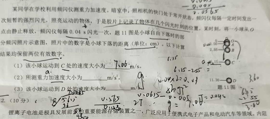 2024年秋季鄂东南省级示范高中教育教学改革联盟学校起点考试（高二年级）(物理)试卷答案