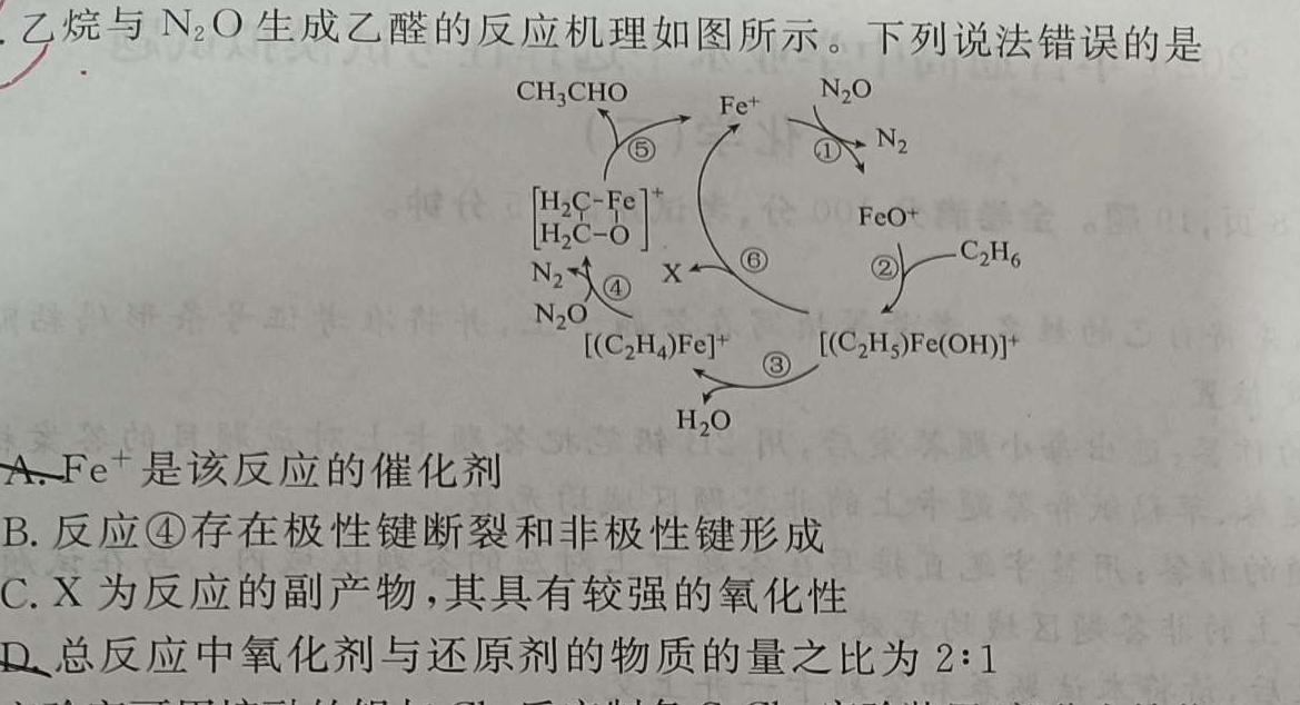 【热荐】安徽省2023-2024学年下学期九年级教学评价二（期中）化学