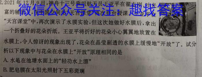 金考卷·2024年普通高招全国统一考试临考预测押题密卷物理试题答案