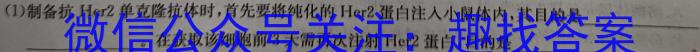 湖南省2023-2024学年第二学期高一年级期末考试生物学试题答案