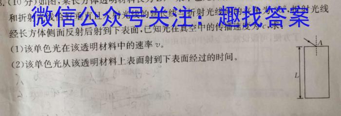 辽宁省沈阳市郊联体2024年9月上学期高三联考物理试题答案