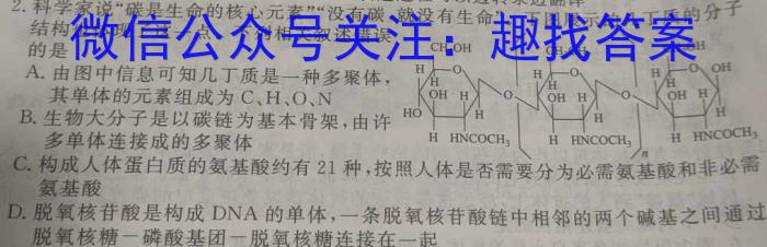 兴平市2024年初中学业水平考试模拟试题(三)生物学试题答案