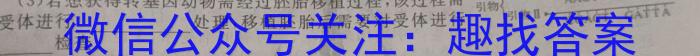 兴平市2024年初中学业水平考试模拟试题(二)生物学试题答案