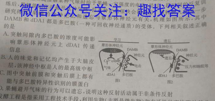 天一大联考2024年普通高等学校招生全国统一考试诊断卷(A卷)生物学试题答案