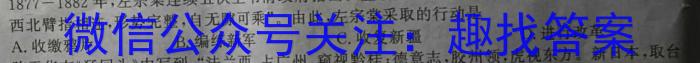 安徽省2024年七年级春季阶段性质量评估（期中卷）历史试卷