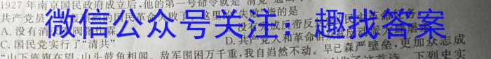 2024年河南省初中学业水平考试全真模拟试卷（三）历史试卷