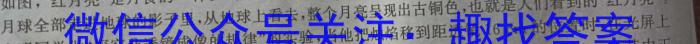 文博志鸿 河南省2023-2024学年八年级第二学期期中教学质量检测(B)物理`