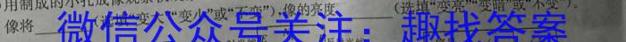 陕西省2023-2024学年度第二学期八年级课后综合作业（三）A物理试题答案