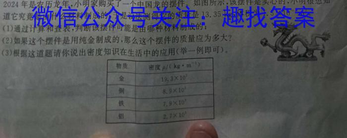 2024河南中考学业备考全真模拟试卷(8)物理试题答案