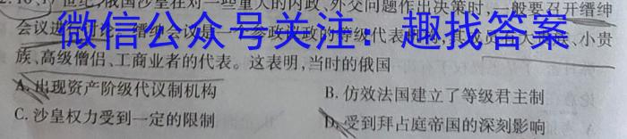2024[绯ģ]绯и5ģʷ