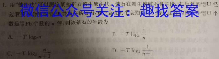 2024年新野县九年级第二次模拟试题物理试卷答案