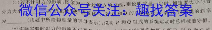 2024届陕西省九年级教学质量检测(24-CZ180c)h物理