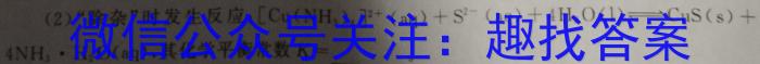 3吉林省2024年名校调研系列卷·九年级第一次模拟测试（四）化学试题