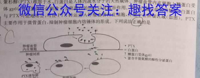 ［河北大联考］河北省2023-2024学年第二学期高一年级期末联考生物学试题答案