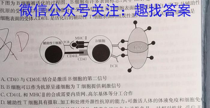 四川成都七中2023-2024学年度2024届高三考前热身考试生物学试题答案