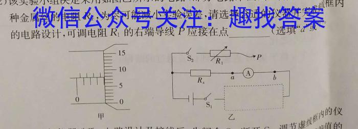 江西省2024年九年级中考总复习模拟卷（二）物理