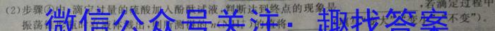 鼎成大联考2024年河南省普通高中招生考试（四）化学