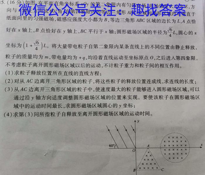 青桐鸣2024年普通高等学校招生全国统一考试 青桐鸣押题卷二物理试卷答案