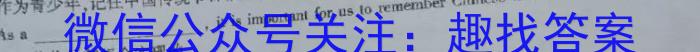 2024年河南省普通高中招生考试模拟试卷(密卷一)英语