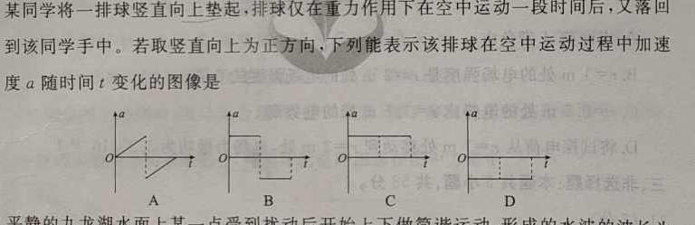 安徽省六安市轻工中学2024年九年级下册第一阶段定时训练物理试题.