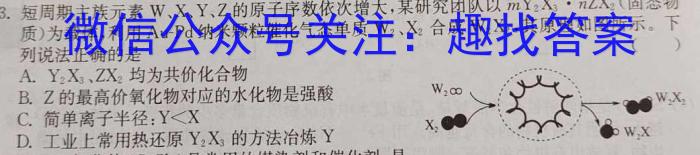 甘肃省武威市凉州区2024-2025学年度第一学期九年级开学测试卷化学